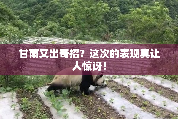 甘雨又出奇招？这次的表现真让人惊讶！