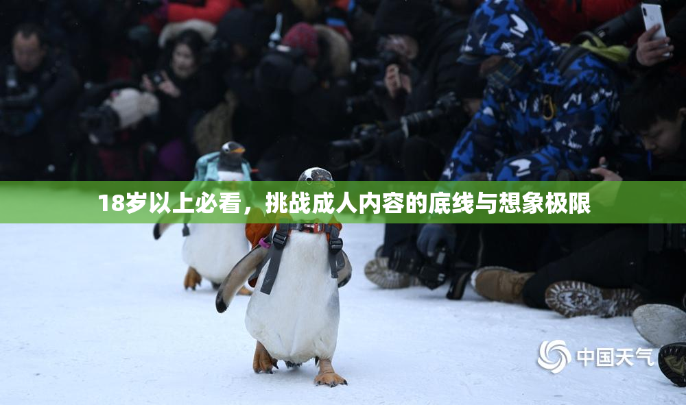 18岁以上必看，挑战成人内容的底线与想象极限