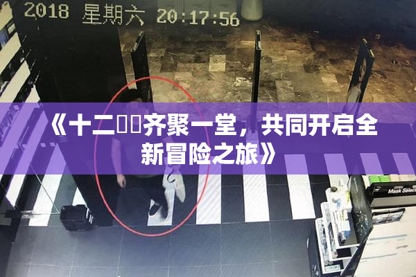《十二妺妺齐聚一堂，共同开启全新冒险之旅》