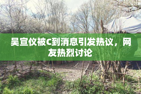 吴宣仪被C到消息引发热议，网友热烈讨论
