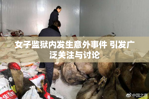 女子监狱内发生意外事件 引发广泛关注与讨论