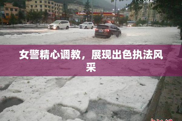 女警精心调教，展现出色执法风采