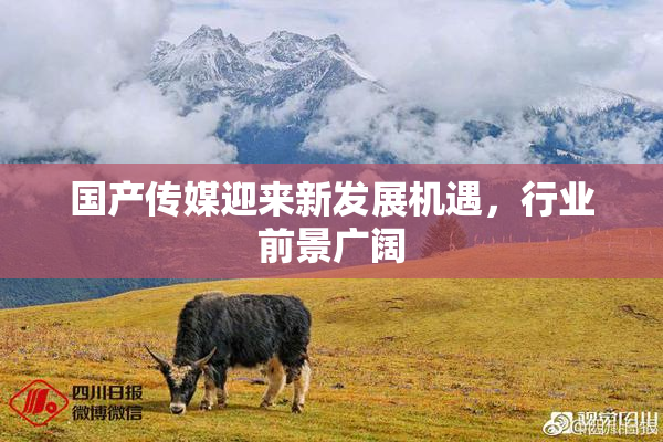 国产传媒迎来新发展机遇，行业前景广阔