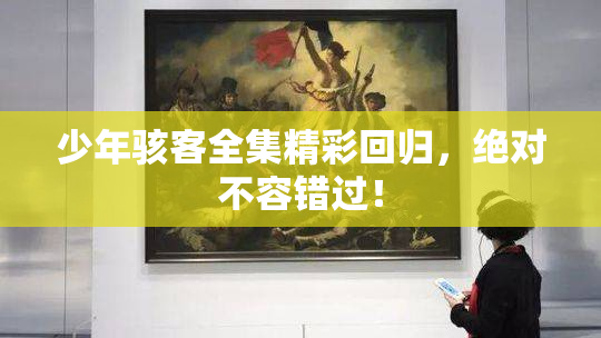 少年骇客全集精彩回归，绝对不容错过！