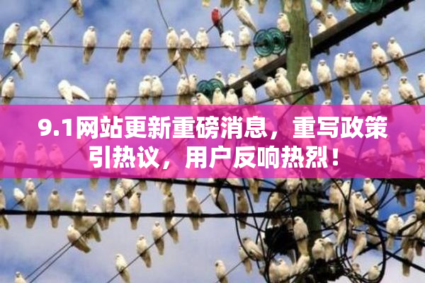 9.1网站更新重磅消息，重写政策引热议，用户反响热烈！