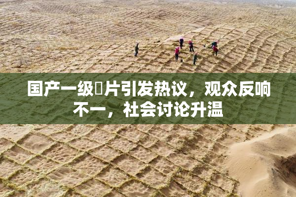 国产一级婬片引发热议，观众反响不一，社会讨论升温