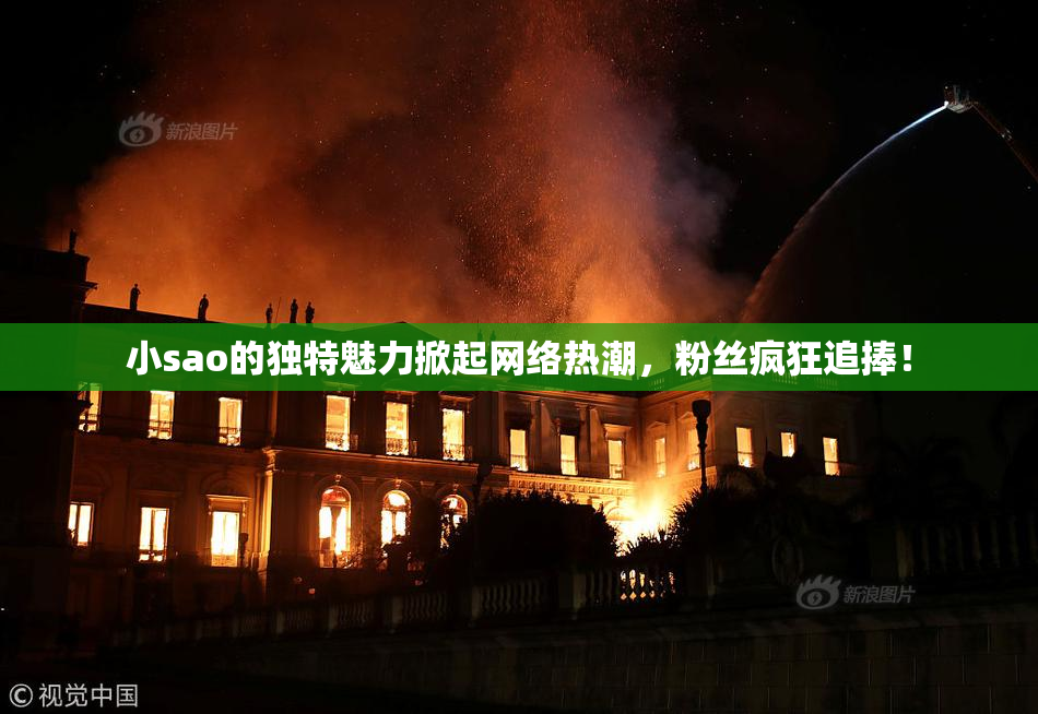 小sao的独特魅力掀起网络热潮，粉丝疯狂追捧！