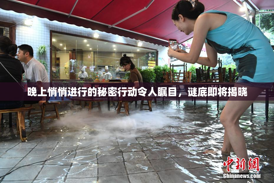 晚上悄悄进行的秘密行动令人瞩目，谜底即将揭晓