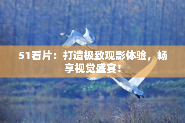 51看片：打造极致观影体验，畅享视觉盛宴！