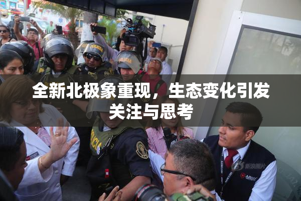 全新北极象重现，生态变化引发关注与思考