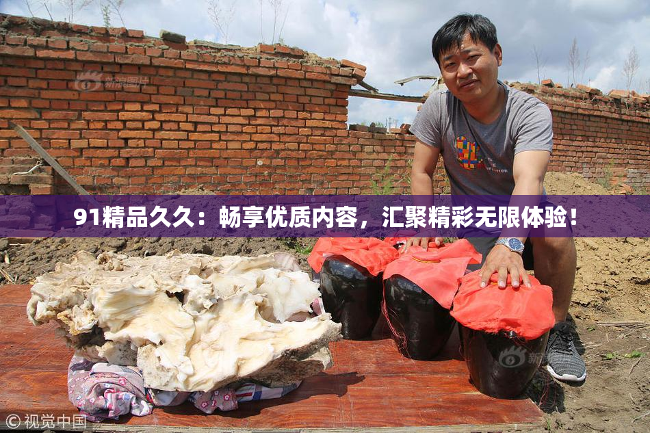 91精品久久：畅享优质内容，汇聚精彩无限体验！