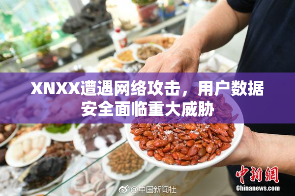 XNXX遭遇网络攻击，用户数据安全面临重大威胁