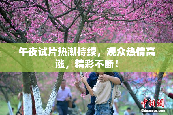 午夜试片热潮持续，观众热情高涨，精彩不断！