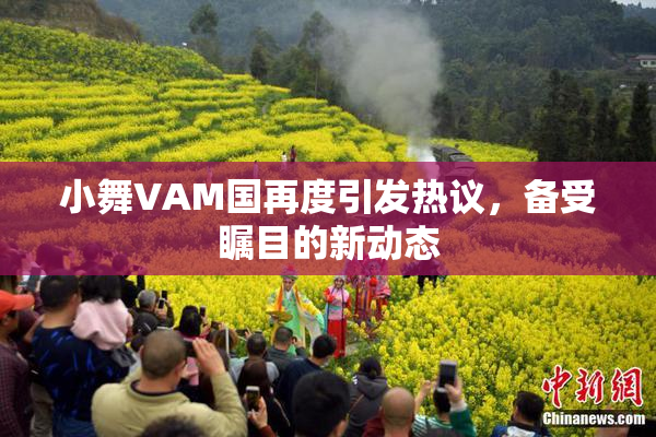小舞VAM国再度引发热议，备受瞩目的新动态