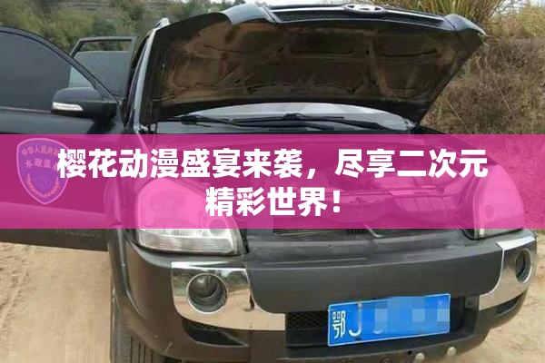 樱花动漫盛宴来袭，尽享二次元精彩世界！