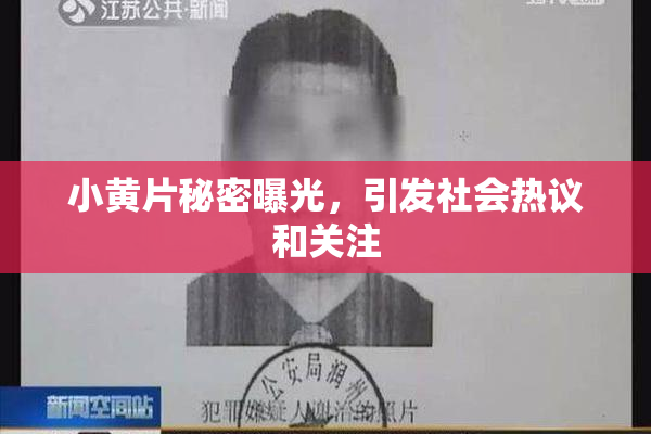 小黄片秘密曝光，引发社会热议和关注