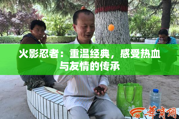 火影忍者：重温经典，感受热血与友情的传承