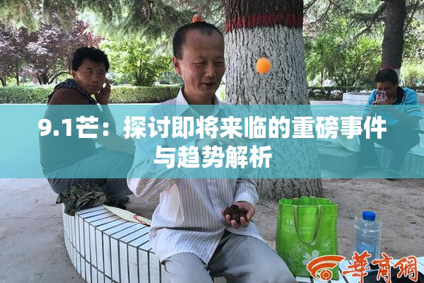 9.1芒：探讨即将来临的重磅事件与趋势解析