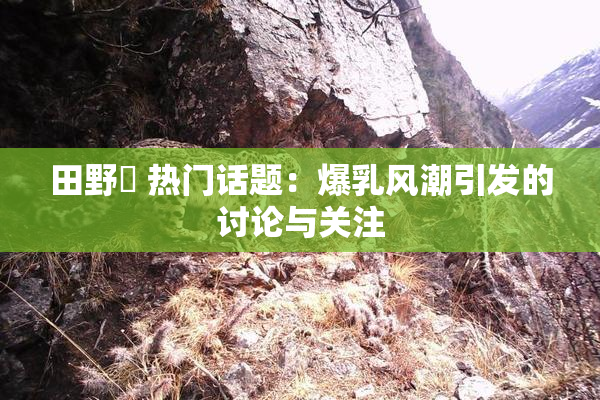 田野憂 热门话题：爆乳风潮引发的讨论与关注