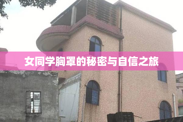 女同学胸罩的秘密与自信之旅