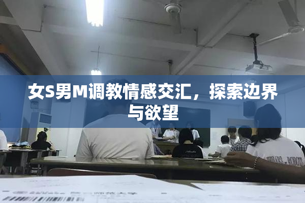 女S男M调教情感交汇，探索边界与欲望