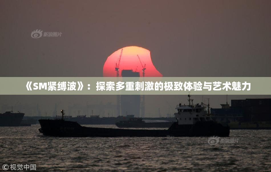 《SM紧缚波》：探索多重刺激的极致体验与艺术魅力