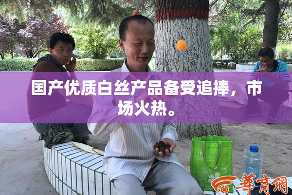 国产优质白丝产品备受追捧，市场火热。