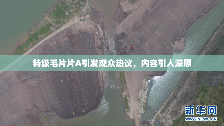 特级毛片片A引发观众热议，内容引人深思