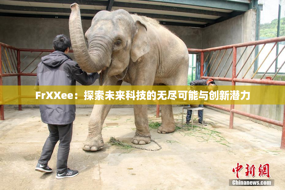 FrXXee：探索未来科技的无尽可能与创新潜力