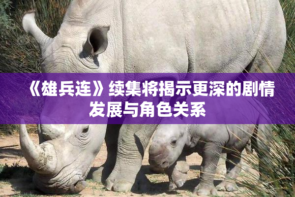 《雄兵连》续集将揭示更深的剧情发展与角色关系