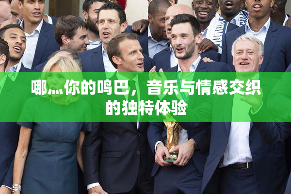 哪灬你的鸣巴，音乐与情感交织的独特体验