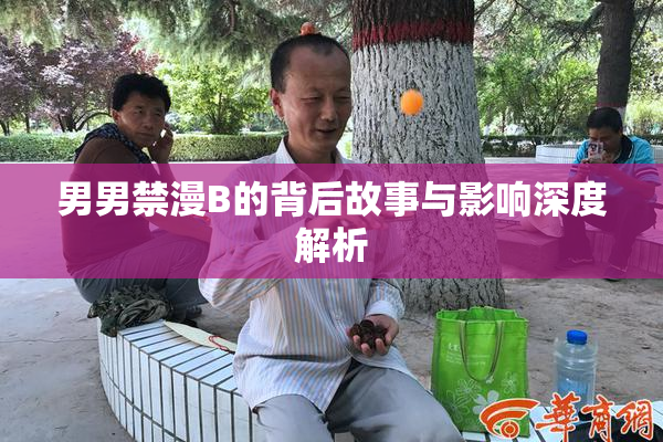 男男禁漫B的背后故事与影响深度解析