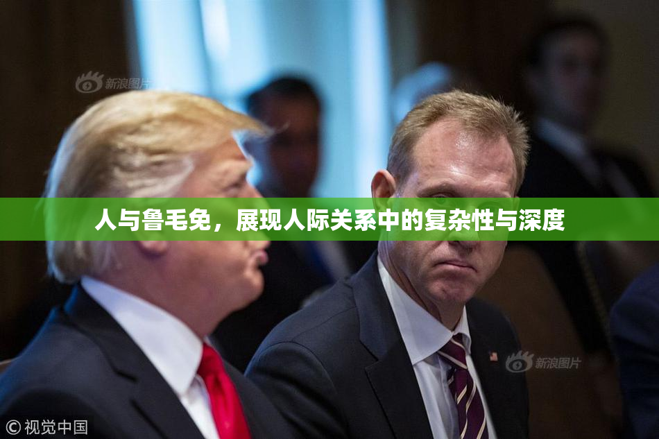 人与鲁毛免，展现人际关系中的复杂性与深度