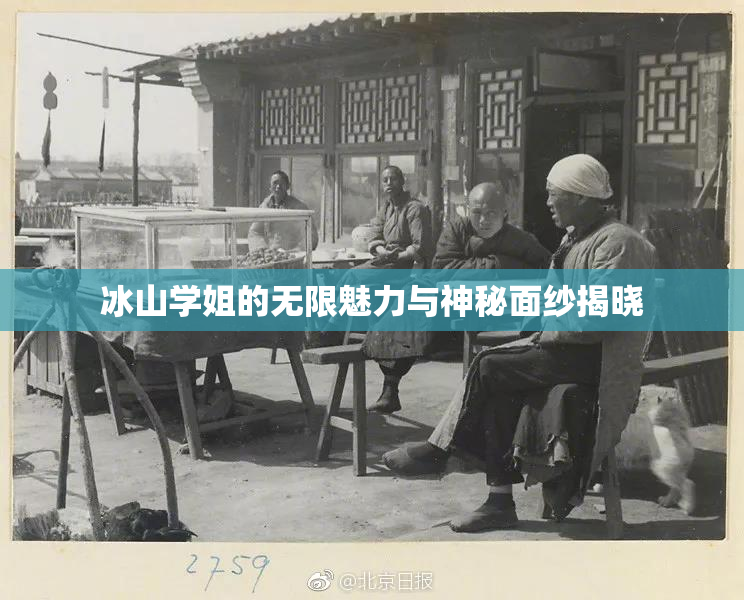 冰山学姐的无限魅力与神秘面纱揭晓