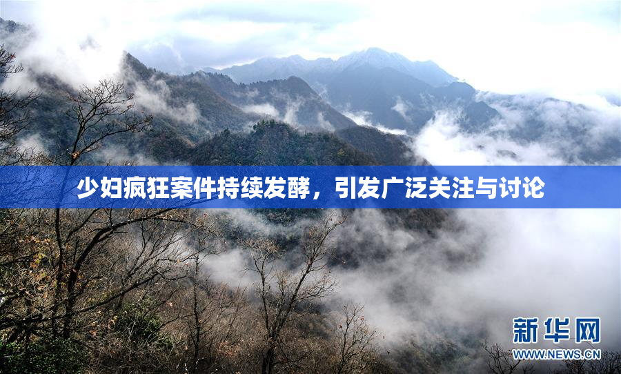 少妇疯狂案件持续发酵，引发广泛关注与讨论