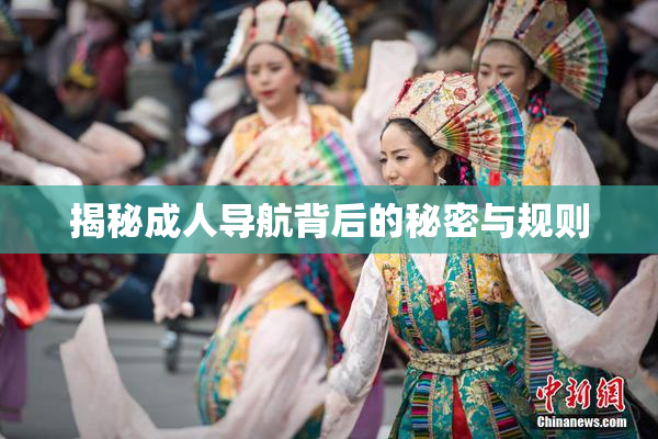 揭秘成人导航背后的秘密与规则
