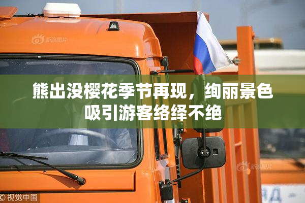 熊出没樱花季节再现，绚丽景色吸引游客络绎不绝