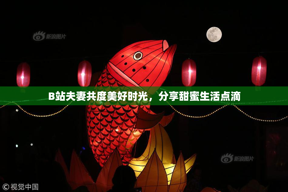 B站夫妻共度美好时光，分享甜蜜生活点滴