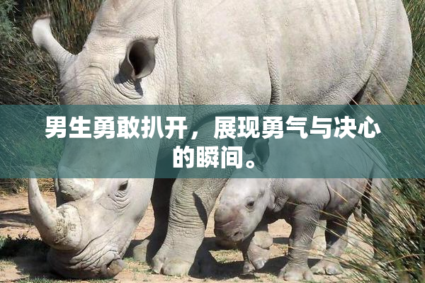 男生勇敢扒开，展现勇气与决心的瞬间。
