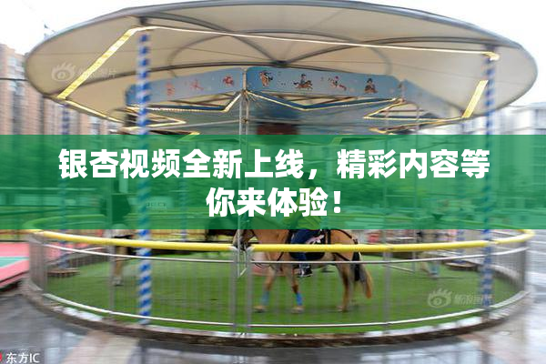 银杏视频全新上线，精彩内容等你来体验！