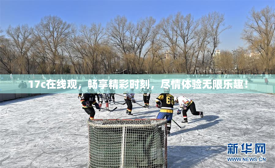 17c在线观，畅享精彩时刻，尽情体验无限乐趣！