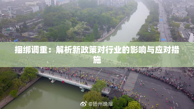 捆绑调重：解析新政策对行业的影响与应对措施