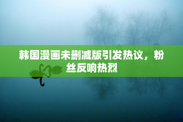韩国漫画未删减版引发热议，粉丝反响热烈