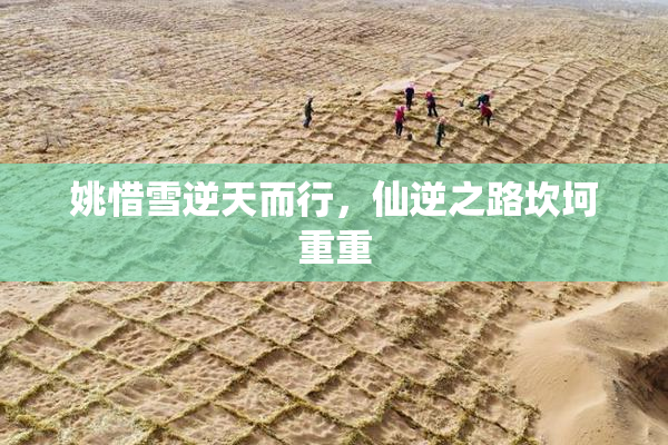姚惜雪逆天而行，仙逆之路坎坷重重