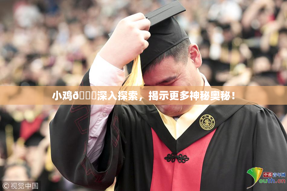 小鸡🐔深入探索，揭示更多神秘奥秘！