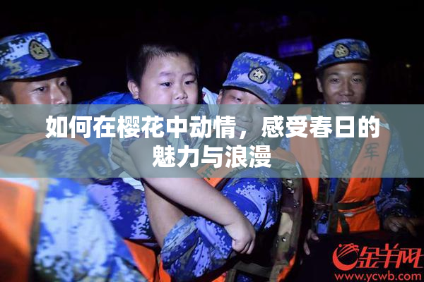 如何在樱花中动情，感受春日的魅力与浪漫