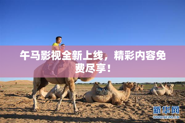 午马影视全新上线，精彩内容免费尽享！