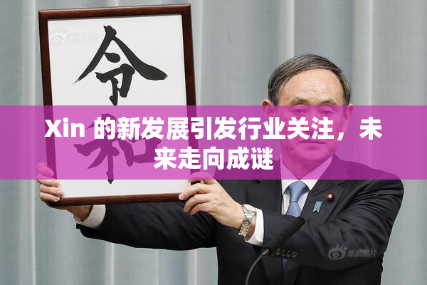 Xin 的新发展引发行业关注，未来走向成谜