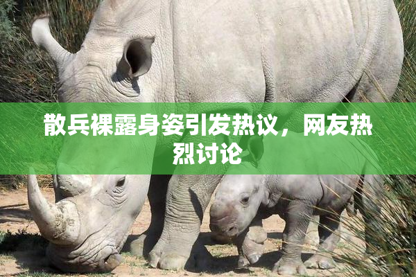 散兵裸露身姿引发热议，网友热烈讨论