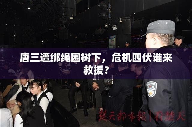 唐三遭绑绳困树下，危机四伏谁来救援？
